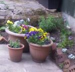 8 Ways Gardening is Good for you!
