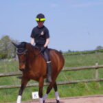 Horse Riding and Chiropractic